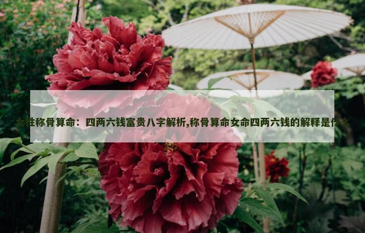 女性称骨算命：四两六钱富贵八字解析,称骨算命女命四两六钱的解释是什么