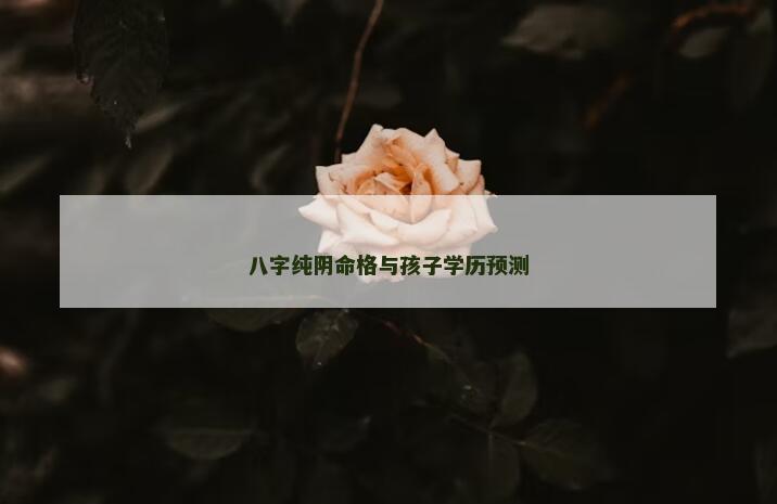 八字纯阴命格与孩子学历预测