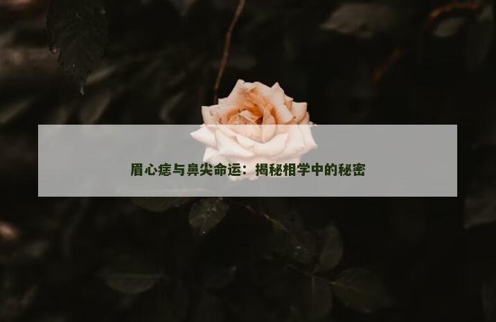 眉心痣与鼻尖命运：揭秘相学中的秘密